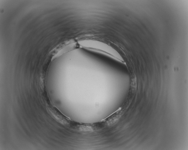 X0000083980572200703161600