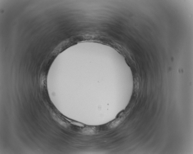 X0000083980574200703161600