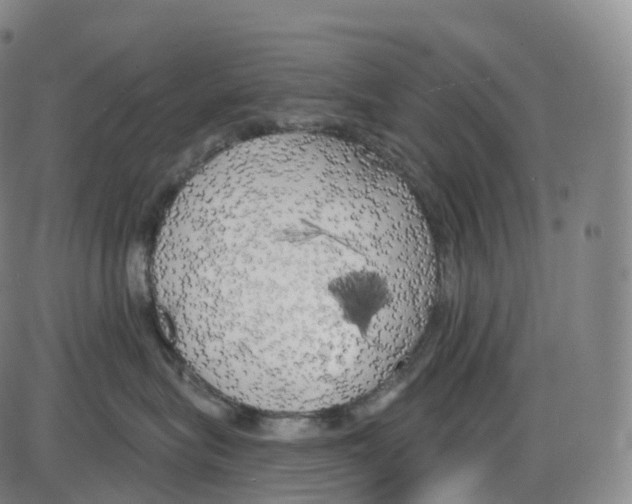 X0000083980575200703161600