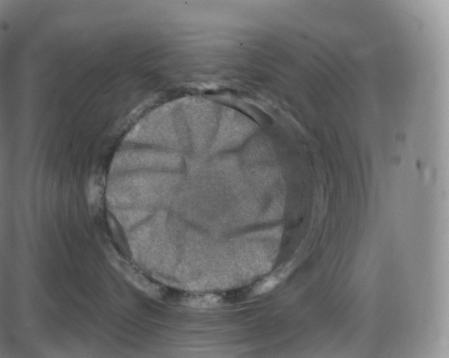 X0000083980576200703161600