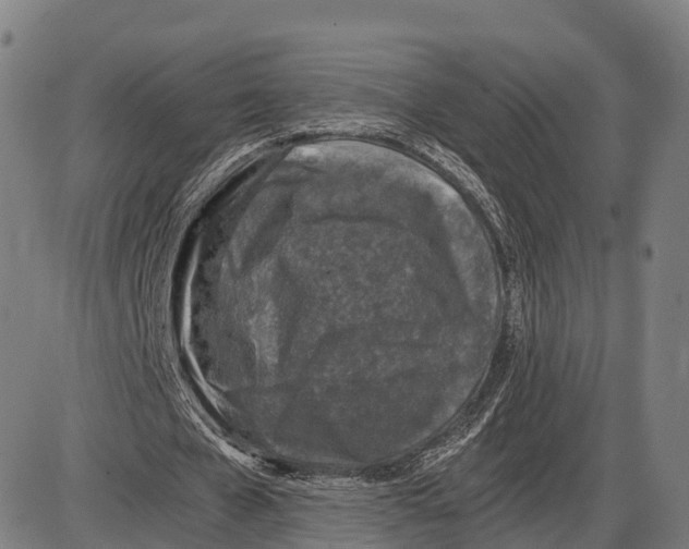 X0000083980577200703161559