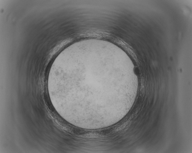 X0000083980578200703161559