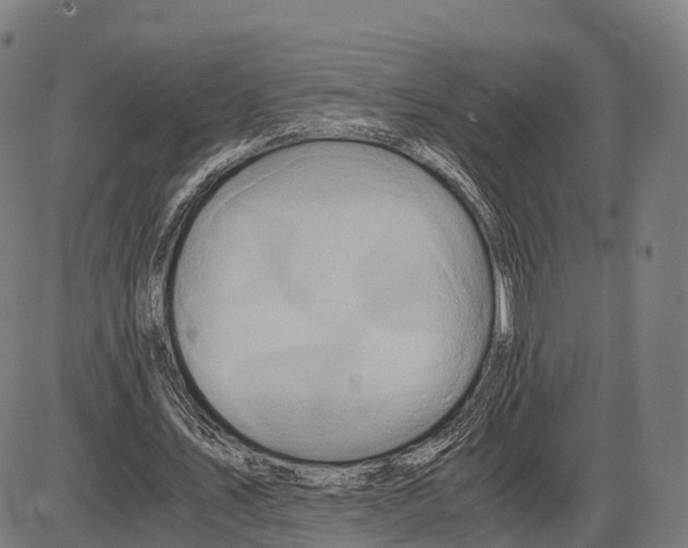 X0000083980579200703161559