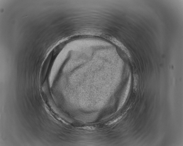 X0000083980580200703161559