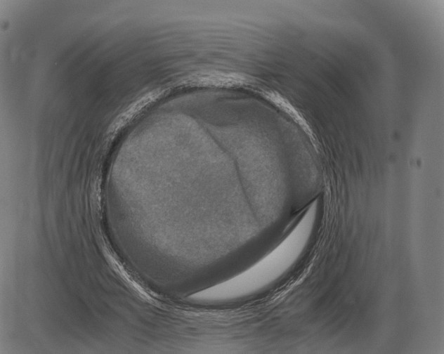 X0000083980581200703161559