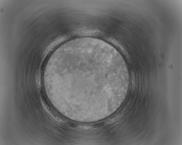 X0000083980582200703161559