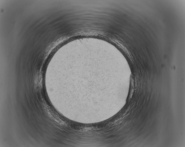 X0000083980584200703161559