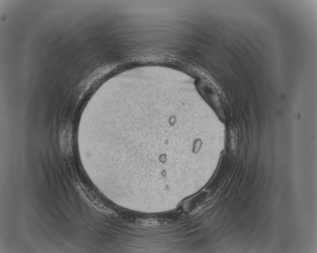 X0000083980588200703161559