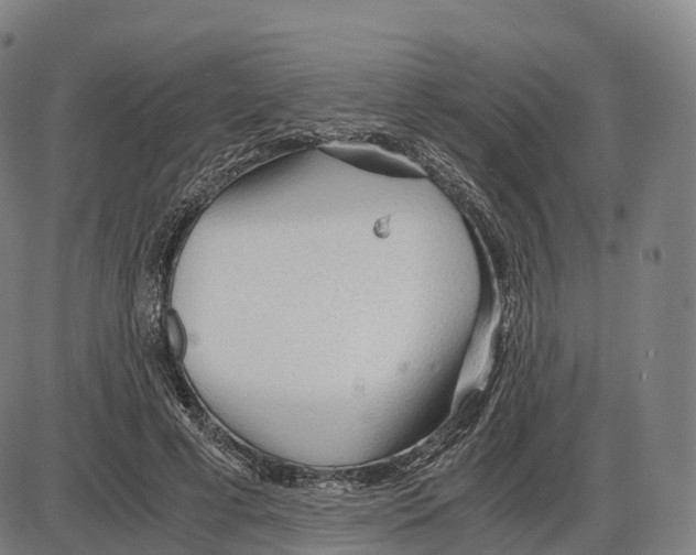 X0000083980593200703161559