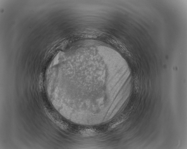 X0000083980594200703161559