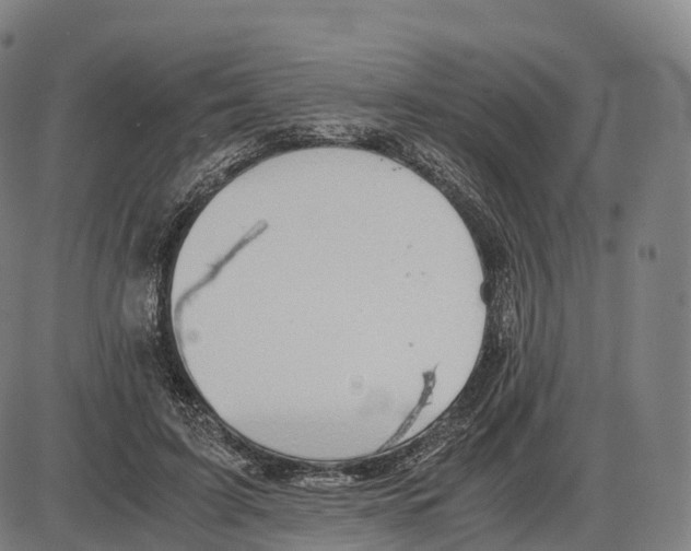 X0000083980595200703161559