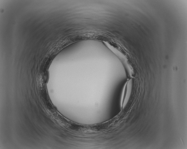 X0000083980597200703161559