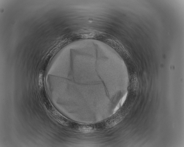 X0000083980598200703161559