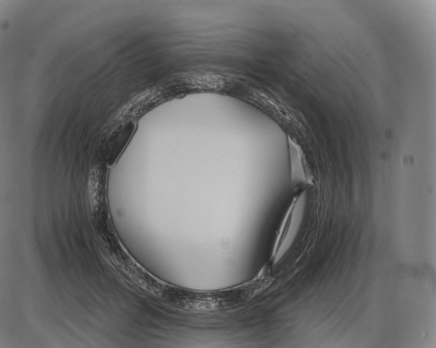 X0000083980600200703161559