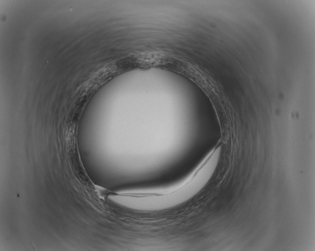 X0000083980601200703161559