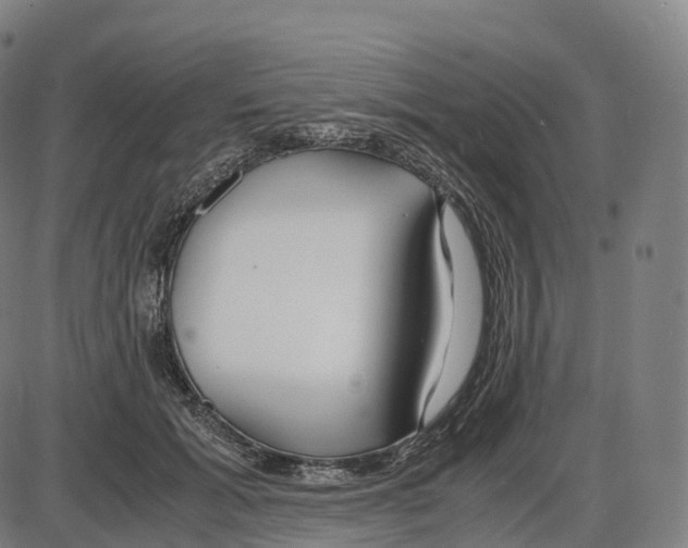 X0000083980605200703161559