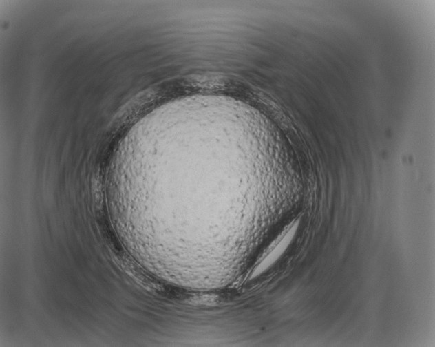 X0000083980609200703161559