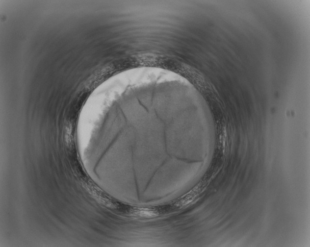 X0000083980610200703161559