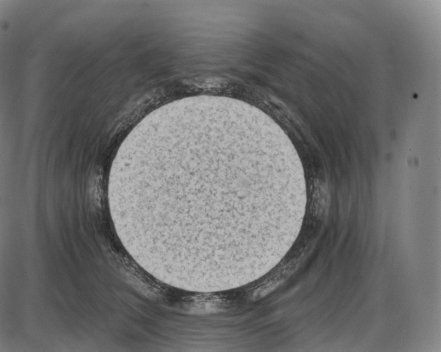 X0000083980612200703161558