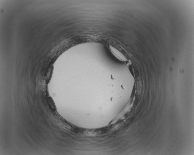 X0000083980613200703161558