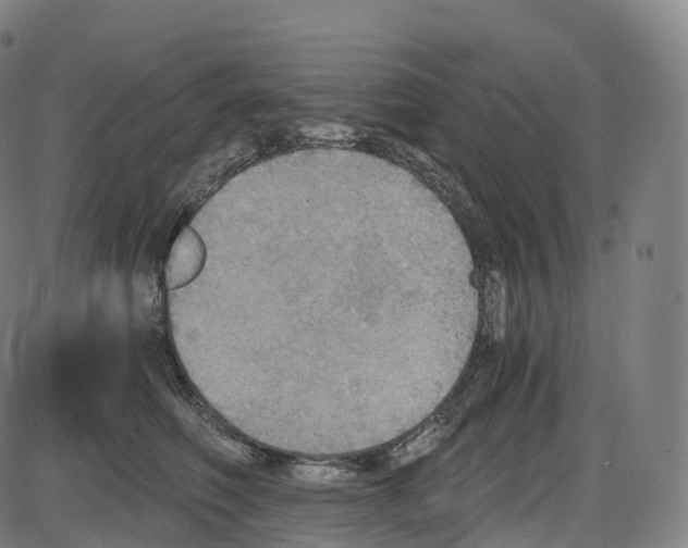 X0000083980614200703161558