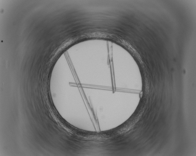X0000083980625200703161558