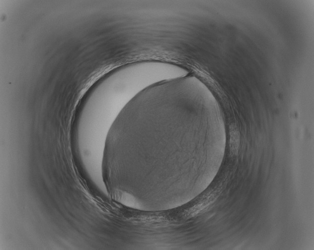 X0000083980626200703161558