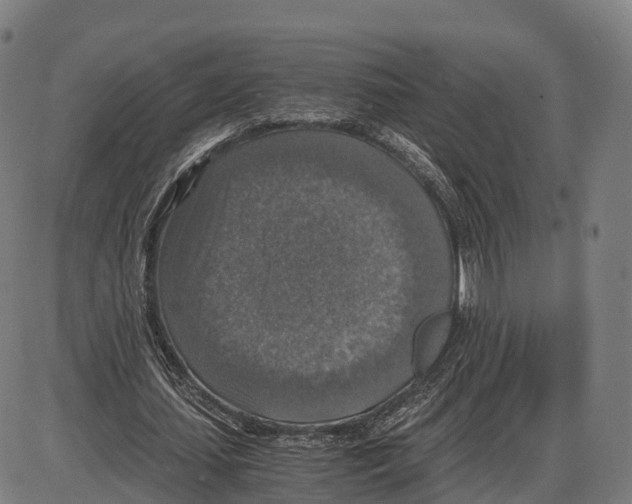 X0000083980627200703161558