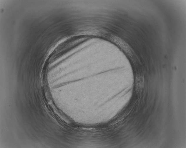 X0000083980628200703161558