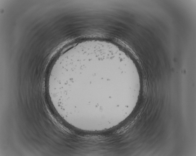 X0000083980629200703161558