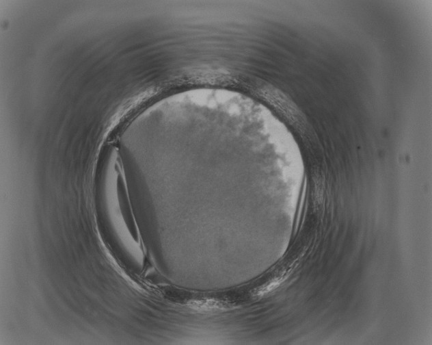 X0000083980630200703161558