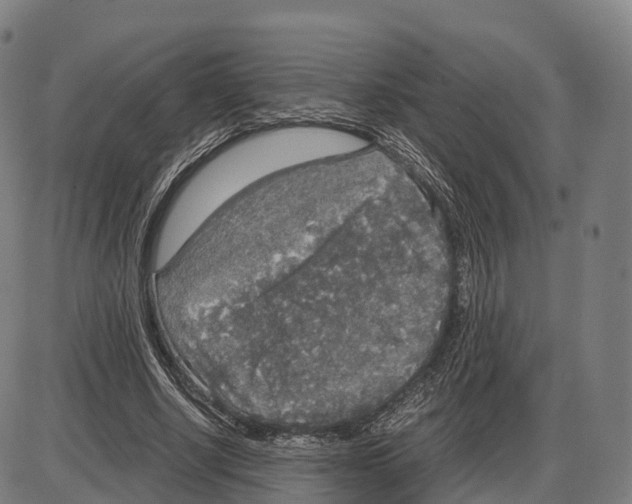 X0000083980634200703161558