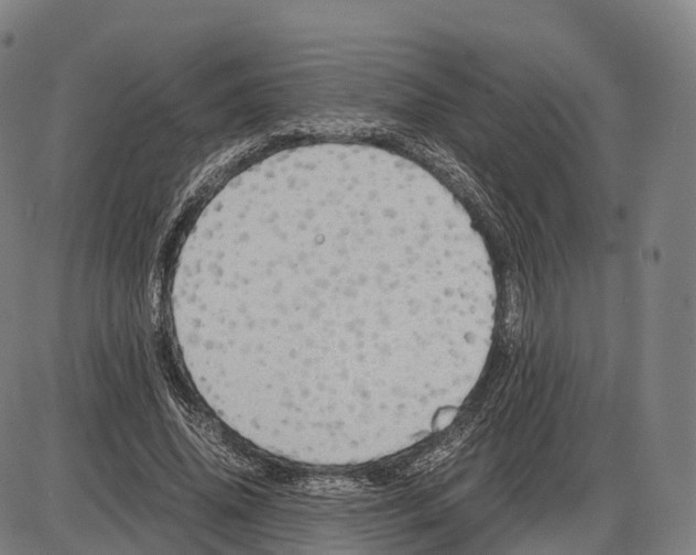 X0000083980636200703161558