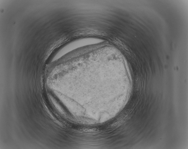 X0000083980638200703161558