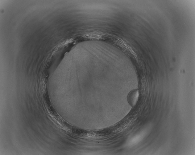 X0000083980641200703161558