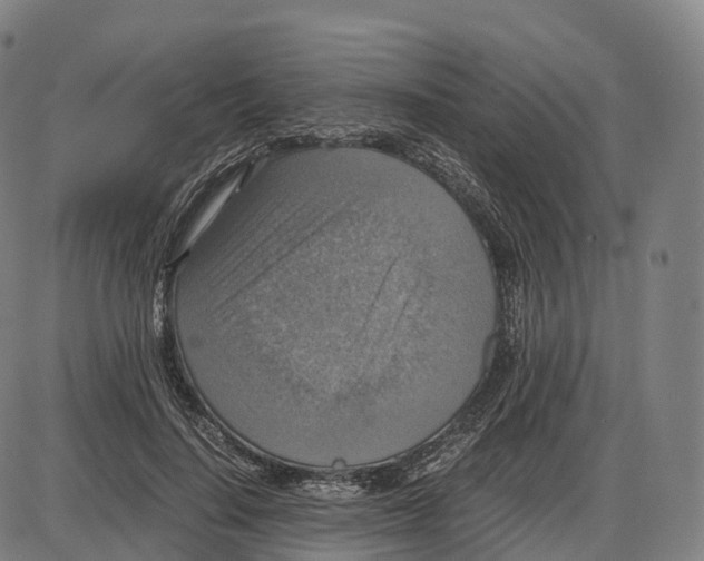 X0000083980644200703161558