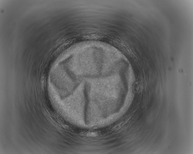 X0000083980647200703161558