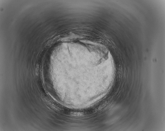 X0000083980649200703161558