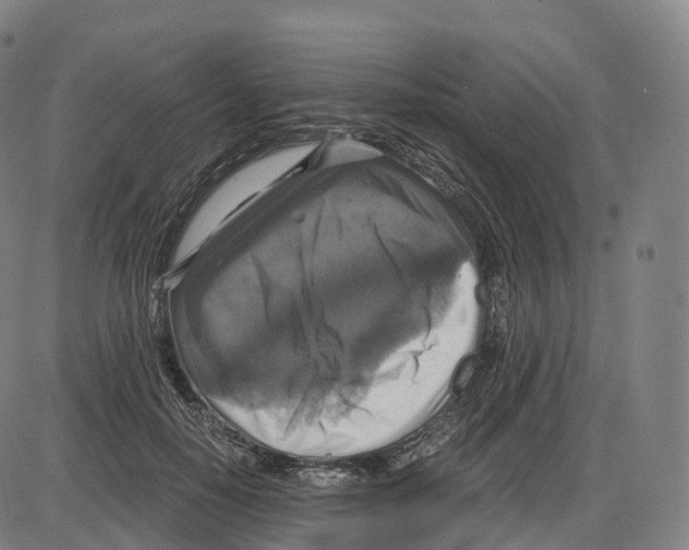 X0000083980650200703161558