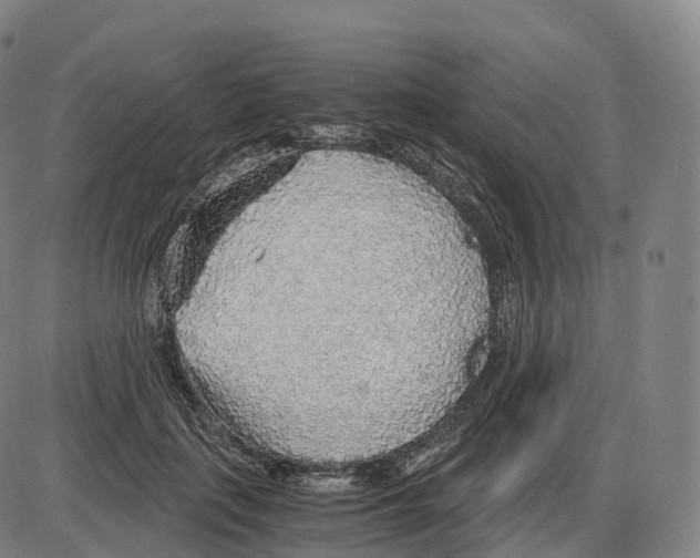 X0000083980651200703161558