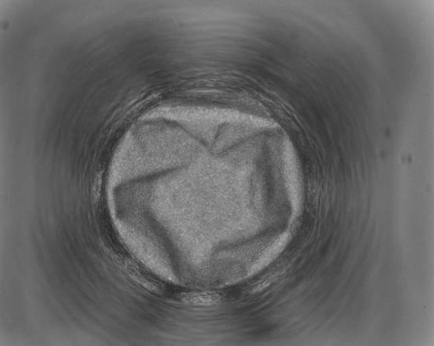 X0000083980652200703161558