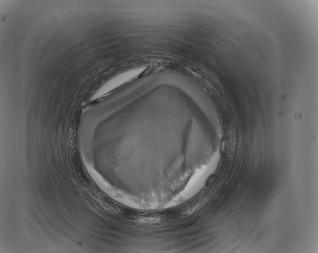 X0000083980653200703161558