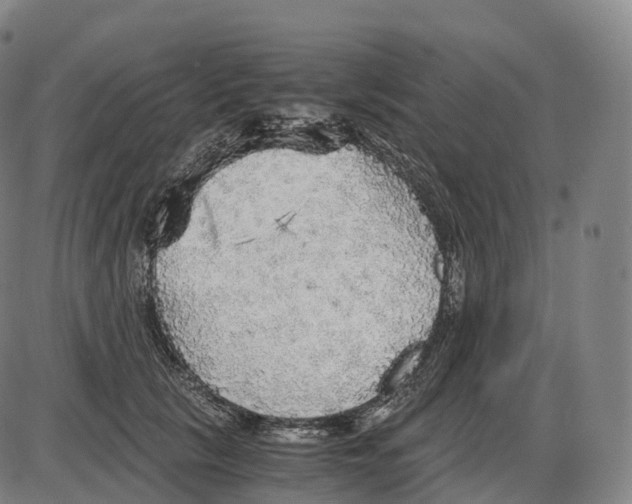 X0000083980657200703161558