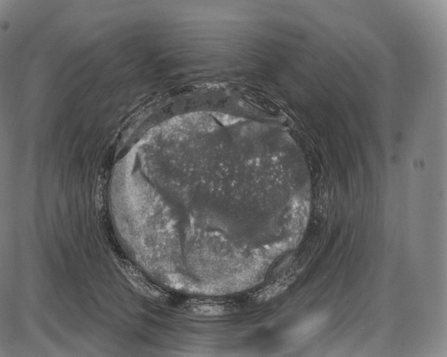 X0000083980658200703161558