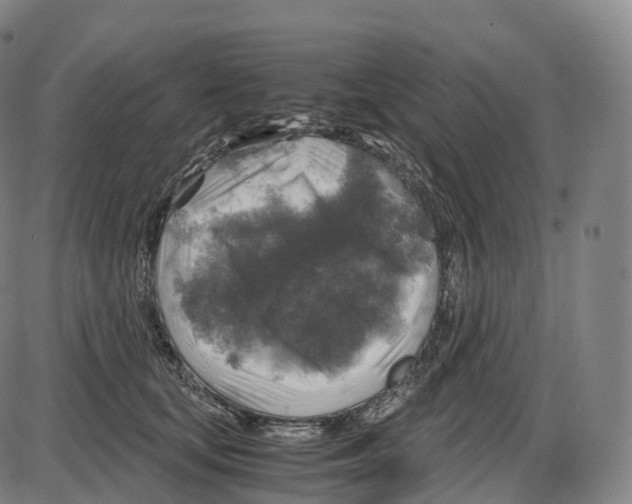 X0000083980659200703161558