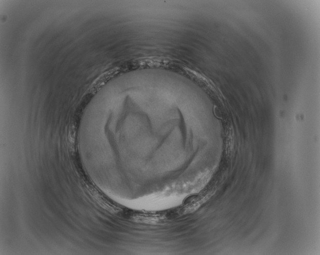 X0000083980661200703161558