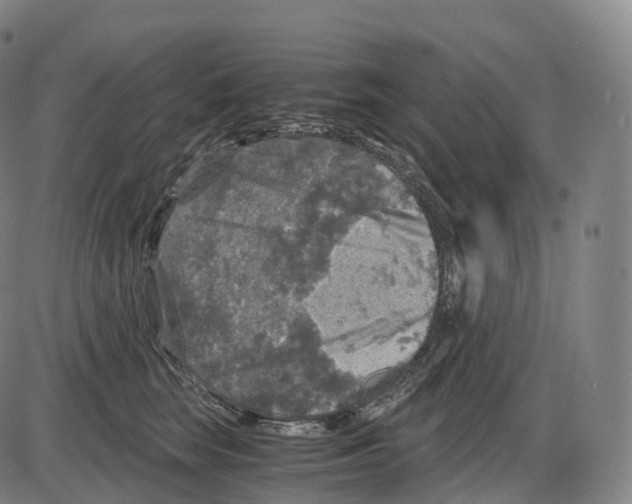 X0000083980663200703161558