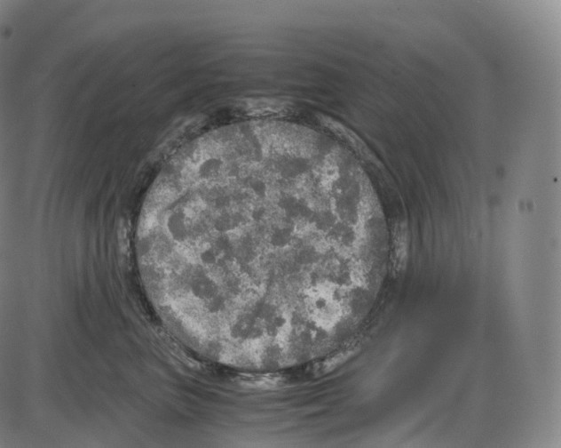 X0000083980667200703161558