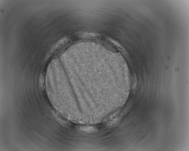 X0000083980669200703161558