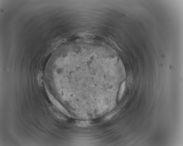 X0000083980671200703161558